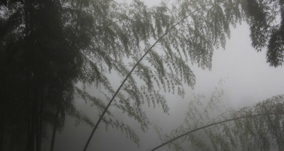 Photo: Jinshan mountain (near Hangzhou), by Bianca Polak