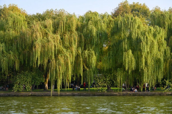 Photo: King Qian’s Memorial, by Xiquinho Silva
