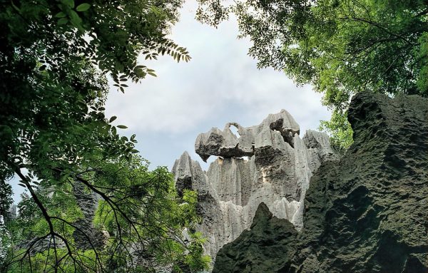 Framed against an opening in the leafy green trees, dramatic craggy grey karst peaks rise up into a cloudy sky.