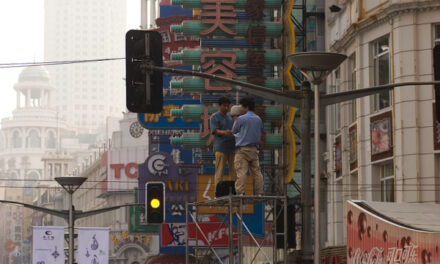 Maintenance of CCTV camera, by 2 dogs