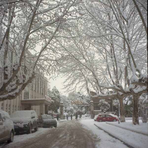 A narrow alleyway, whose sidewalks, parked cars, buildings, and trees are covered in a thick blanket of snow. On the left of the alley is a light-colored, two-story institutional building of some sort; straight ahead is a brick and metal gate with a sign reading “1865,” a few people standing at the gate, and beyond that, a parklike area filled with snow-frosted trees.