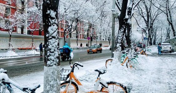Photo: Nieve y bicis, by Dithedy