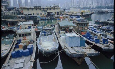 Photo: Perhaps the only remaining traditional fishing dock in the urban area, Shenzhen, Guangdong, by Shooting Kangaroo