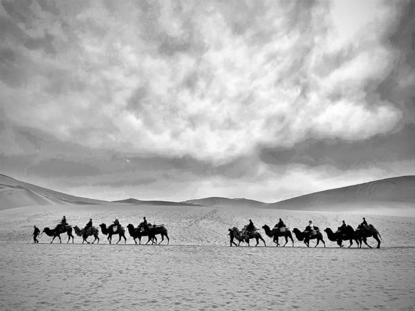 Photo: Photo, by Bruno Abreu 老布
