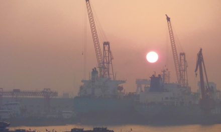 Photo: port de Shanghai, by Werner Bayer