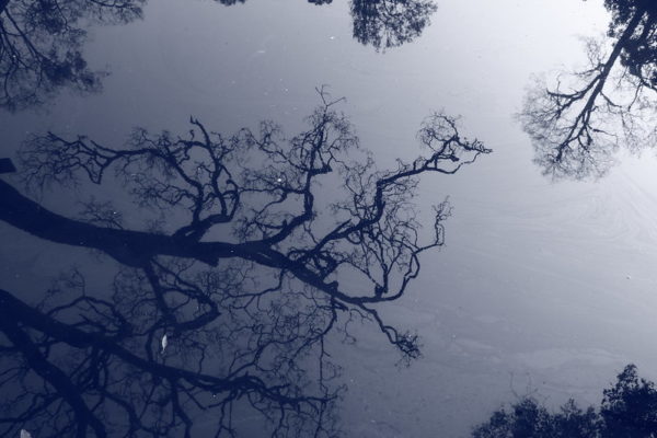 Photo: Reflection, by Alexander Lerch