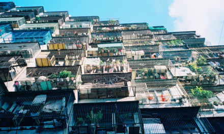 Photo: Sunday Morning, by 古力 朱