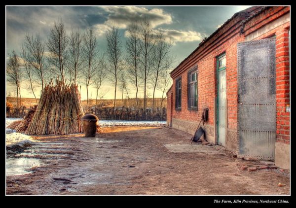 Photo: The Farm, by Mark Heath