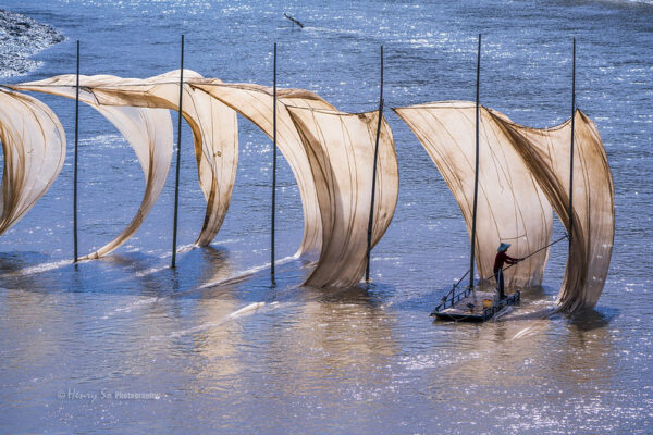 A row of seven opaque, off-white fishing nets anchored by tall poles look like sails in the ocean breeze. Sun glitters from the surface of the water, and a lone figure in a straw hat stands on a small pontoon and uses a long pole to tend to one of the nets.