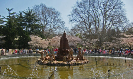 Photo: The Fountain in Zhongshan Park, QingDao, by Kirk K
