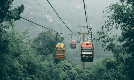Photo: Tram, by faungg’s photos