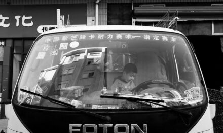 Photo: Truck driver, by Gauthier DELECROIX