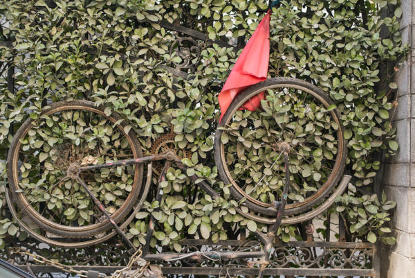 Photo: Untitled (Beijing, China), by Lei Han