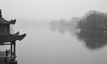 Photo: Untitled, by z j