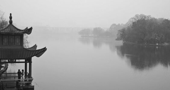 Photo: Untitled, by z j