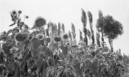 Photo: Untitled (Gansu Province), by Motohiro Sunouchi