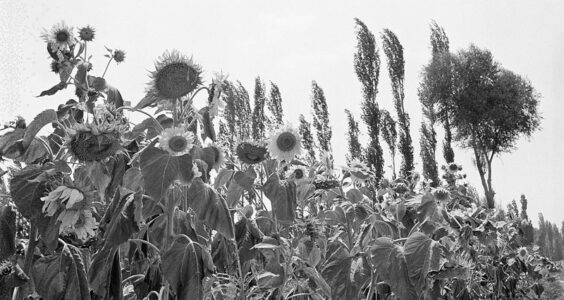 Photo: Untitled (Gansu Province), by Motohiro Sunouchi
