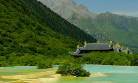 Photo: Untitled (Huanglong National Park, Sichuan), by Franco Pecchio