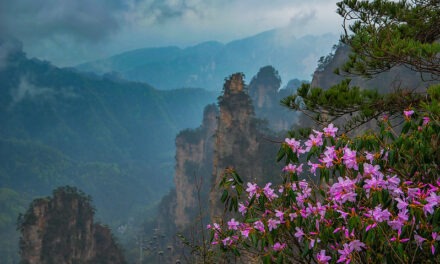 Photo: Zhang Jiajie, by Jay Huang