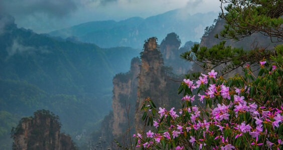 Photo: Zhang Jiajie, by Jay Huang