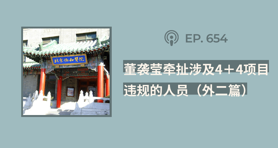 【404文库】“董袭莹牵扯涉及4＋4项目违规的人员”（外二篇）